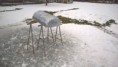 /album/den-2/wp-20160109-13-12-27-pro-jpg/